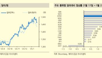 “트럼프 2기, 금융시장 ‘관망’ 모드…다음주는 달러 반등”