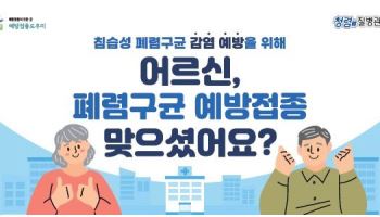 마포구, 65세 이상 어르신 무료 폐렴구균 예방접종[동네방네]