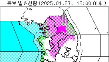 서울 동남·동북·서북권 '대설주의보' 발효