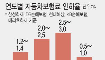 손보업계 차 보험료 0.8~1.0% 인하…하릴없이 ‘상생금융’