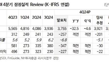 삼성SDI, 소형전지 등 판매 둔화에 올해 역성장 전망…목표가↓-NH