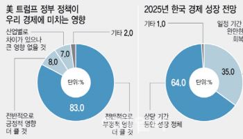 "올해 韓 경제성장률 1.6% 그칠 것…트럼프 리스크 부정적"