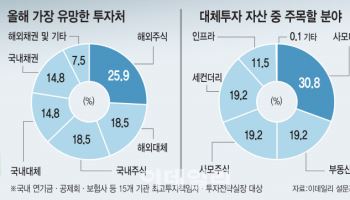 큰손들 올해 픽은…"해외 주식이 최고, 사모대출도 주목"