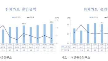 비상계엄·탄핵 정국에도 작년 4분기 카드 승인액·건수 3%대↑