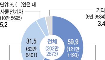 인도 향하는 K배터리…LG엔솔, 현지 특허 대거 출원