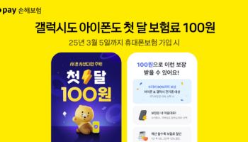 카카오페이손보, 폰 보험 첫달 보험료 ‘100원’