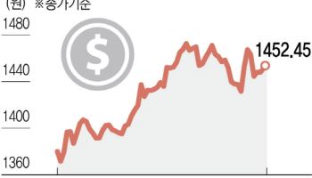 미국만 바라보는 환율…1400원대 밑으로 내려갈 가능성은