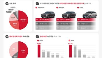 케이카 “국내 소비자, 현대차 팰리세이드 ‘기대’·BYD는 ‘우려’”