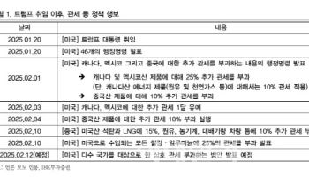 "트럼프의 관세 정책, 물가 우려로 ‘순해질’ 전망"