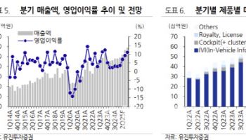 텔레칩스, 차량용 반도체 공급 확대 기대-유진