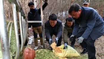 국가유산청, 천연기념물 산양에 먹이 공급…폐사 신고 줄어