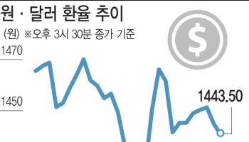 2월 금리인하로 기우는 무게 추…‘환율 상승’ 부추길까