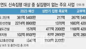 신속집행 경제적 효과는 '글쎄'…"추경 적극 나서야"