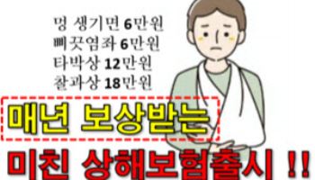 "만원에 보험금 매년 지급, 곧 판매 종료"…금감원, 보험상품 온라인광고 점검