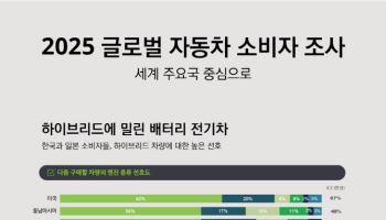 "글로벌 소비자 상당수는 전기차보단 내연·하이브리드 선호"