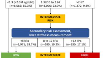 대사이상 지방간질환, 간섬유화 평가 2단계 모델 효과 확인