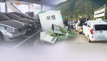 대형 손보사, 車 보험료 0.6~1% 인하…3월 중순부터 속속 반영