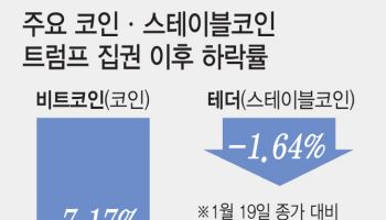 트럼프 행정부의 '스테이블코인' 전략, 속내는 달러 패권 강화