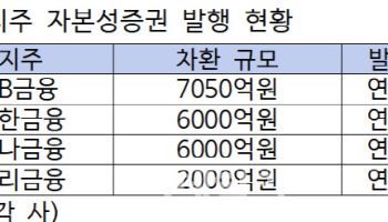 금융지주 "자본확충 쉽지 않네"…자본성증권 고금리 발행 울상