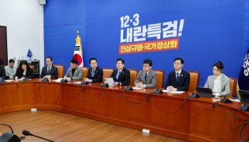 민주당 "중도보수 언급, 과거에도 존재"