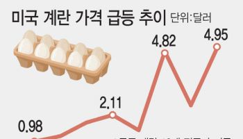 미국, 계란값 급등에 이달부터 튀르키예서 1만5000톤 수입