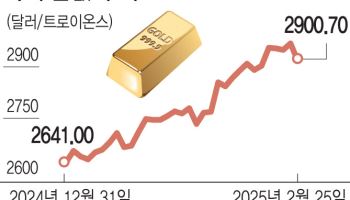 금값, 안전자산 선호에 사상 최고치…3000달러 돌파 초읽기