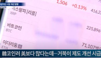 韓코인러 美보다 많다는데…거북이 제도 개선 시급