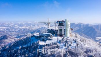 강원도 평창 발왕산으로 환상적인 상고대 절경 보러 오세요