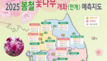 올해 꽃나무 개화는 3월 중순 제주 시작 전국은 4월 초