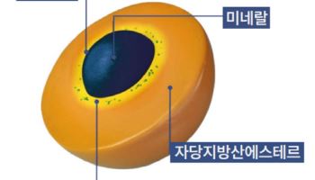 미래바이오텍, 하이엔드 Sucrosomial® 미네랄 독점계약