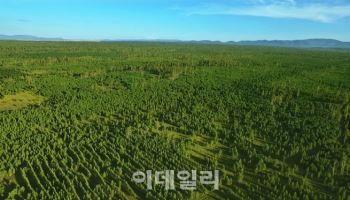 유한킴벌리, 22년 연속 ‘한국에서 가장 존경받는 기업’ 선정