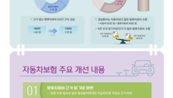 자동차보험료 3% 낮아지나…보험금 부정수급 뿌리뽑는다