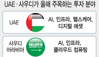 펀드 결성하고 투자하고…국내 AI 산업에 꽂힌 중동