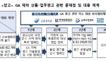 금감원, 불법 보험광고 단속…위반 시 기동검사