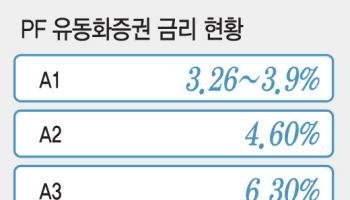 "금리인하 온기 기대 말고 부실PF 빨리 정리해야"