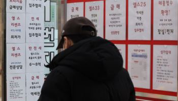 "잠·삼·대·청 급등?"…발끈한 서울시 "실제론 떨어져"