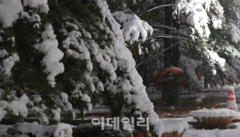 삼일절 연휴에 전국 비 또는 눈 예보..강원 최대 70cm '폭설'