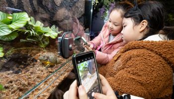 롯데월드 아쿠아리움, 봄 맞이 신규 개구리 특별 전시