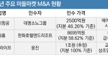 빅 딜 주춤한 M&A 시장…파고드는 중견기업