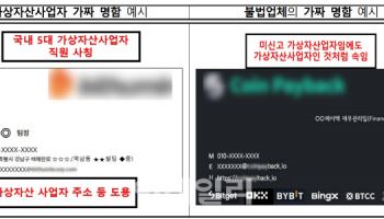 정부 문서까지 보여주며 속인다…가짜코인 사기 경보 ‘발령’