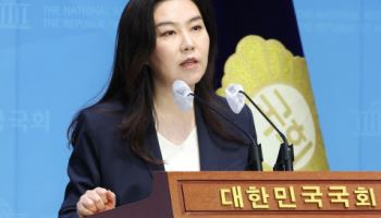 민주 "헌법이 尹에 내란 시켰나?"…개헌 논의 일축