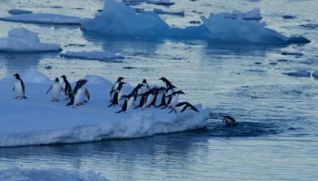 2028 IPCC 기후 변화 보고서에 '수산업' 영향 첫 담긴다