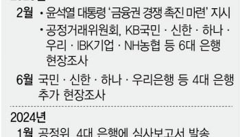 은행 담합 재심사 스모킹건은 ‘기업대출’…LTV 활용 낮아 담합 의문시