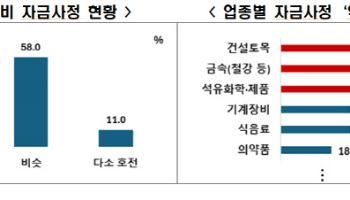 투자할 곳 많은데…대기업 31% 자금사정 더 나빠졌다