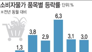 관세폭탄·내수침체·고물가…고개 드는 ‘S의 공포’