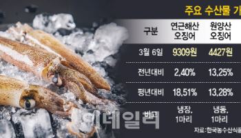 금징어 된 이유 있었다…사라질 수도 있는 초유의 상황