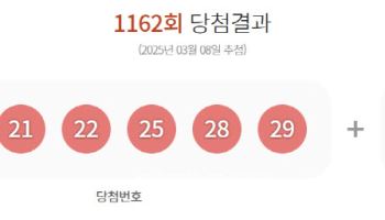 제1162회 로또 1등 '20, 21, 22, 25, 28, 29'…보너스 '6'
