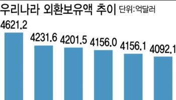 외환보유액, 4년 9개월만에 최저…유입제한 규제 더 푼다