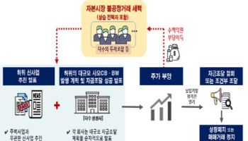 가짜 신사업 발표 후 '허위CB·BW' 발행한 상습범 적발