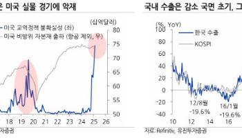 "트럼프발 불확실성 확대…유통·미디어 등 내수 업종 주목"